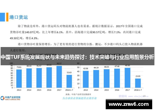 中国TUF系统发展现状与未来趋势探讨:技术突破与行业应用前景分析 中国TUF系统发展现状与未来趋势探讨:技术突破与行业应用前景分析